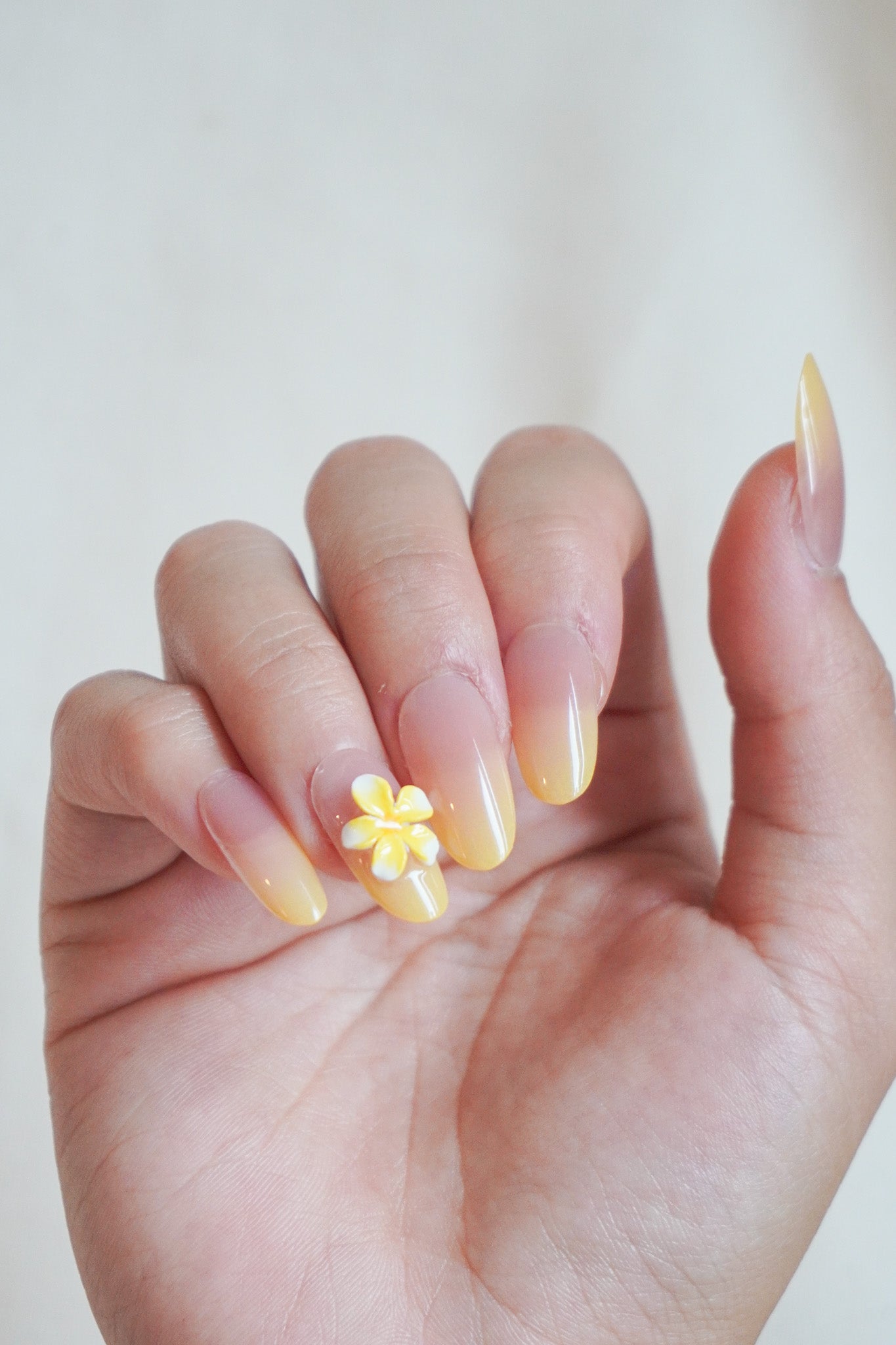 Sunset Bloom