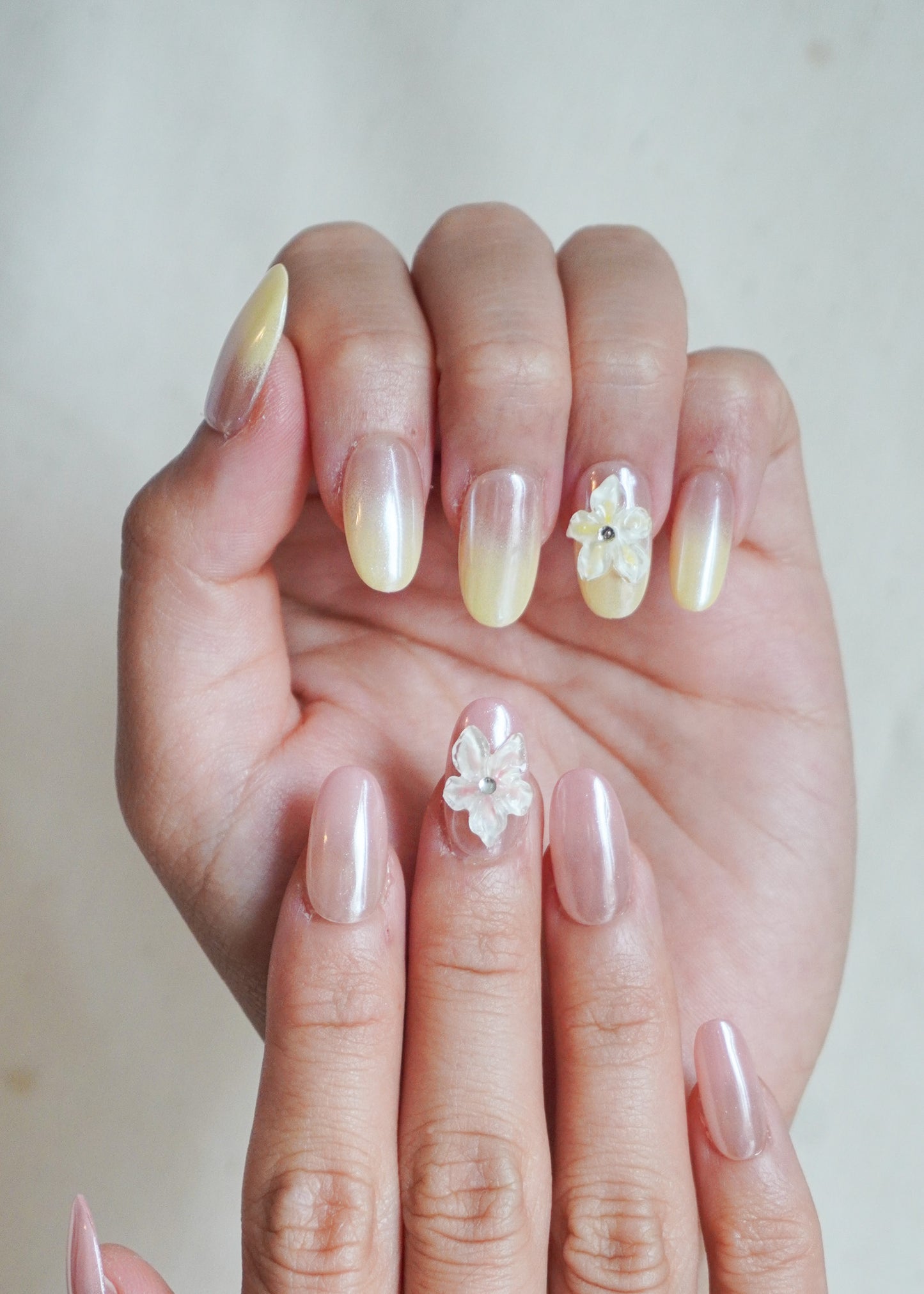Sunbeam Petals