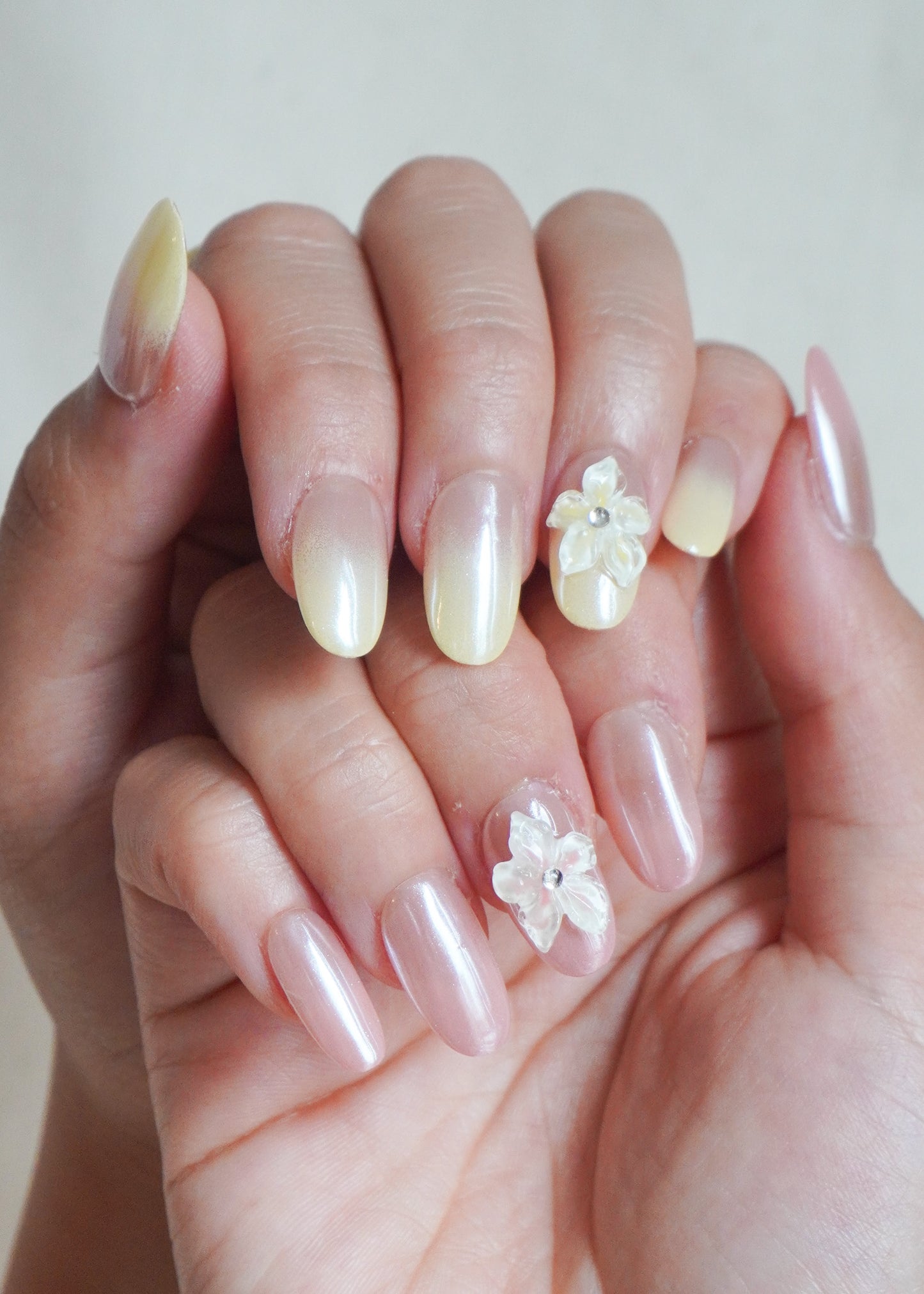 Sunbeam Petals