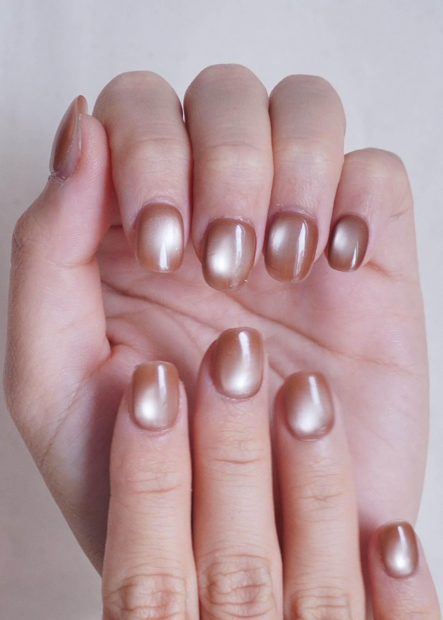 Toffee Shine