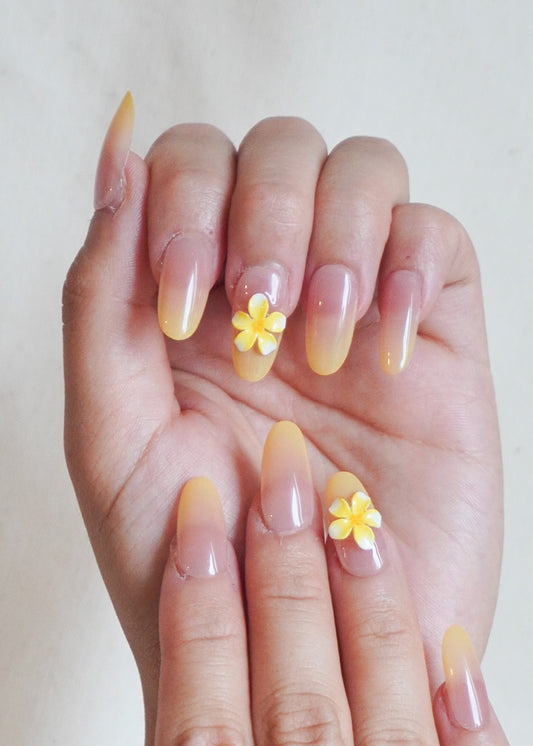 Sunset Bloom