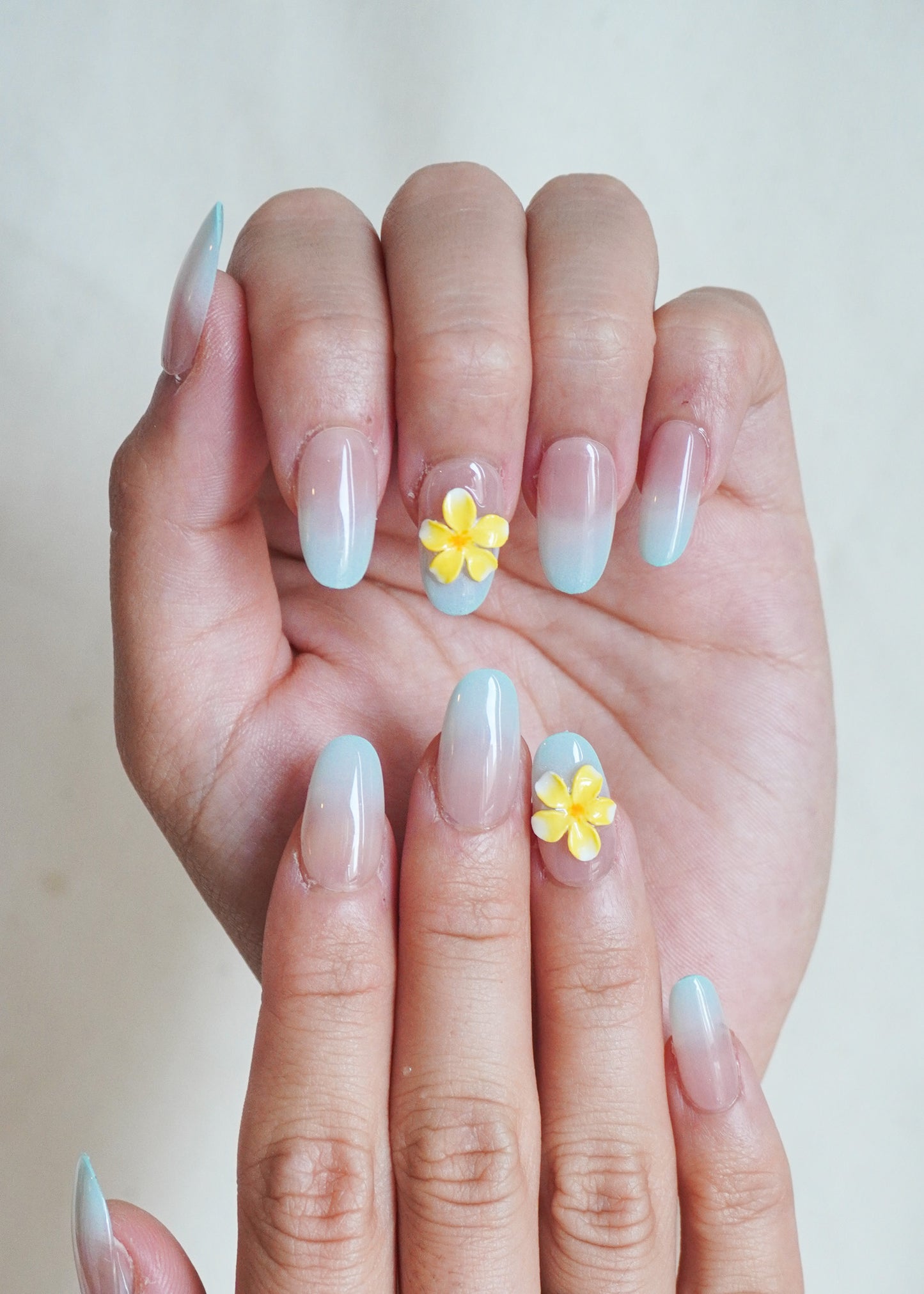 Paloma Bloom