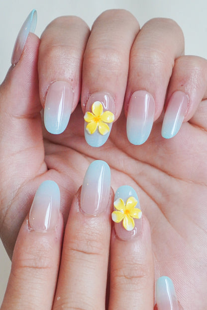 Paloma Bloom