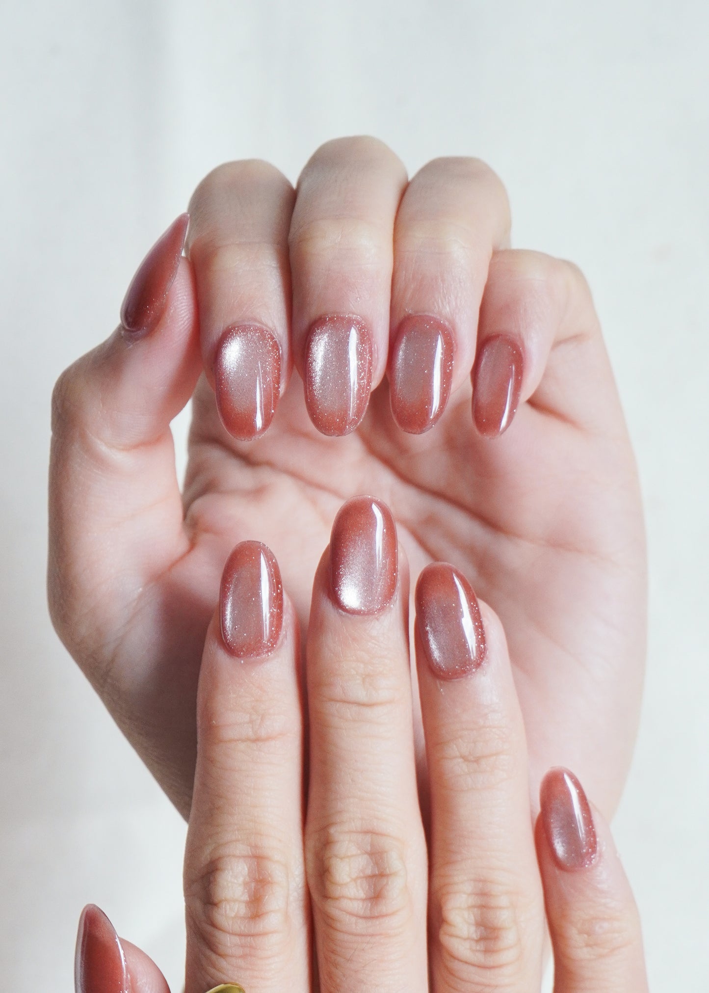 Maple Shimmer