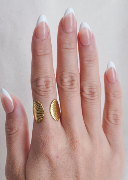 Seashell Duo