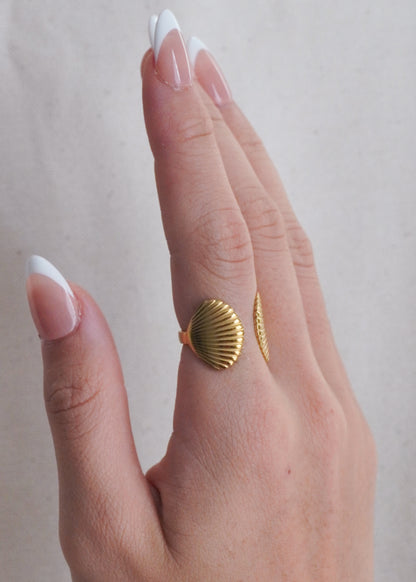 Seashell Duo