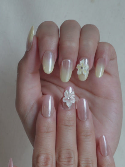 Sunbeam Petals