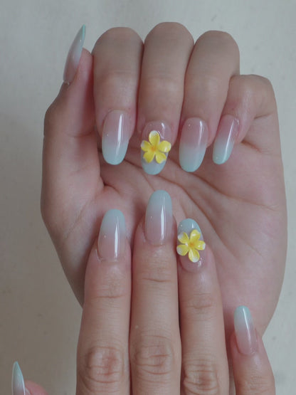 Paloma Bloom